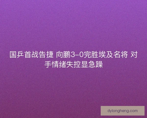 国乒首战告捷 向鹏3-0完胜埃及名将 对手情绪失控显急躁